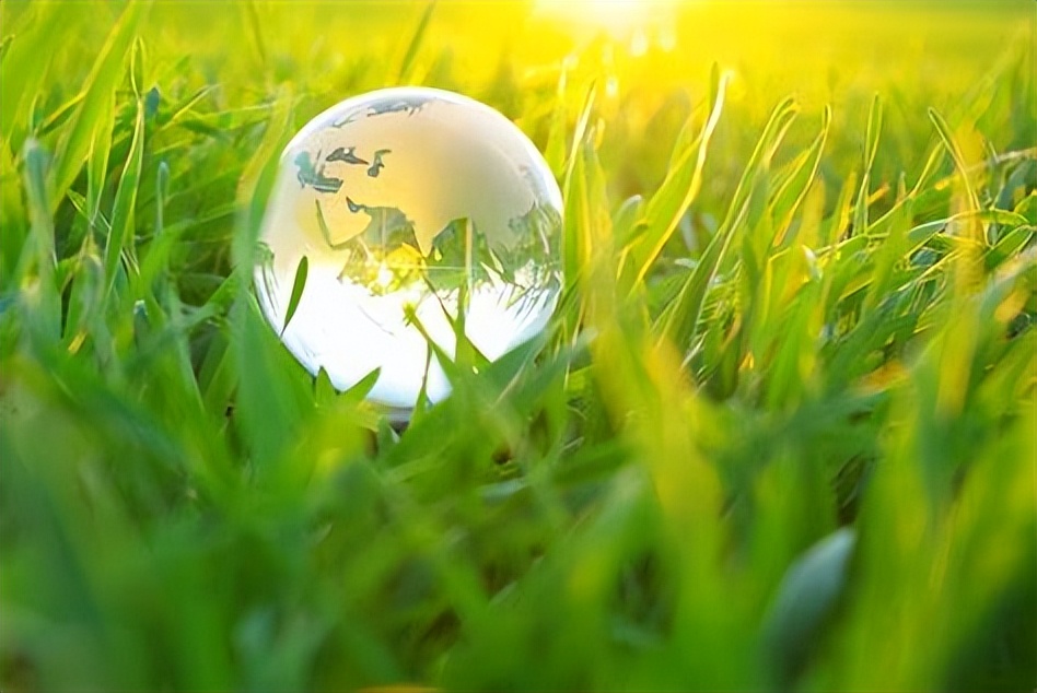 食品科学与工程类专业：民以食为天，美食也需要有人来研究创新