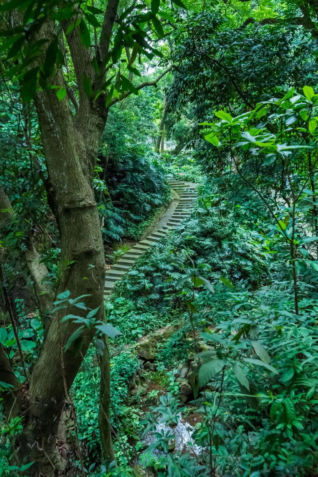 广东景区热度排行出炉，南海西樵山全省第五！