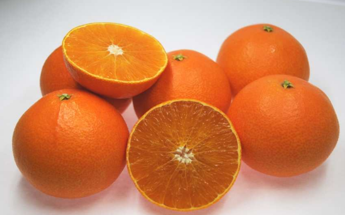 果冻橙价格江河日下，红美人价格居高不下，同一品种为何2个价？