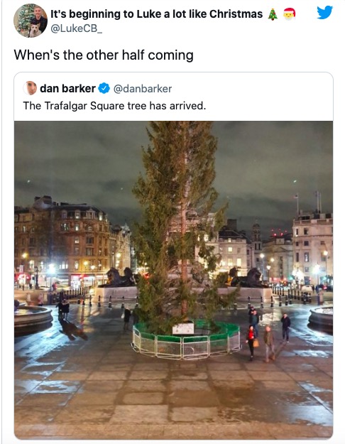 挪威年年给英国送圣诞树，今年送的长相太萎靡，被英国人吐槽惨了