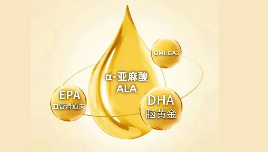 omega-3 脂肪酸