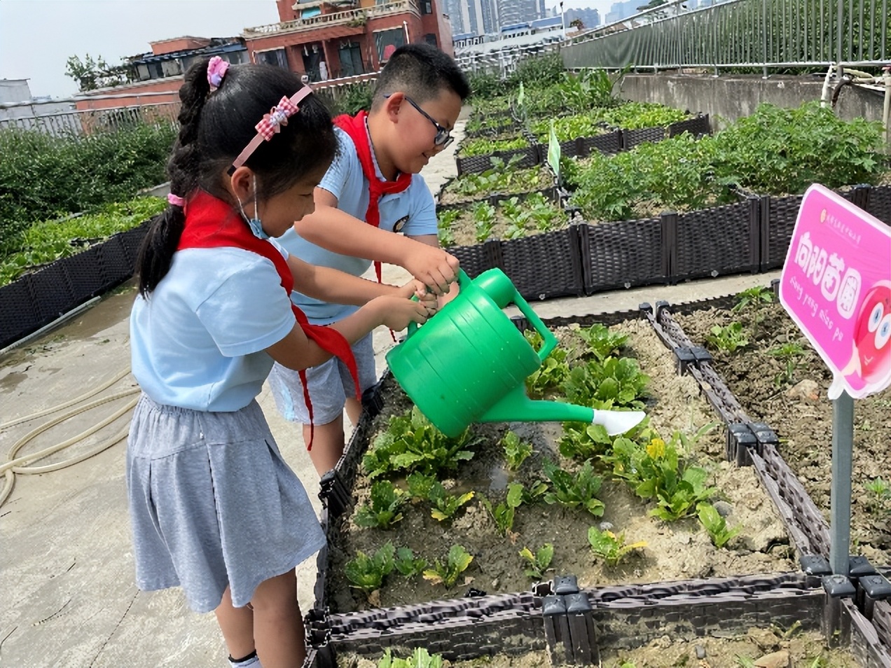 中和小学参加区教育发展中心综合实践教学设计比赛并喜获一等奖