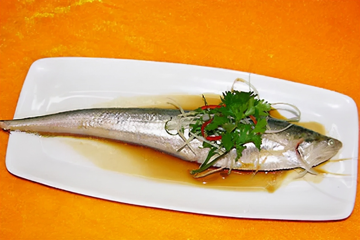 迎接cop15,保护生物多样性丨长江里有什么之"长江第一鲜"刀鱼