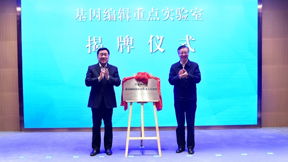 回眸2021：高水平推进科技自立自强，打造国家战略科技力量