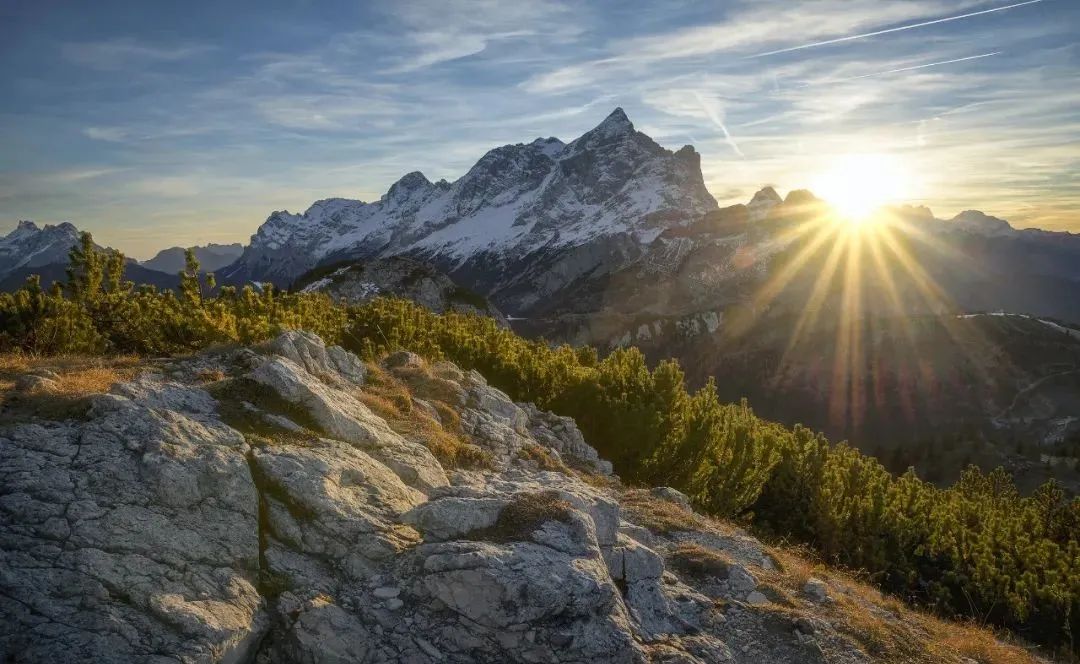 杨律师真狠心，我都给她跪下了，她也不帮我