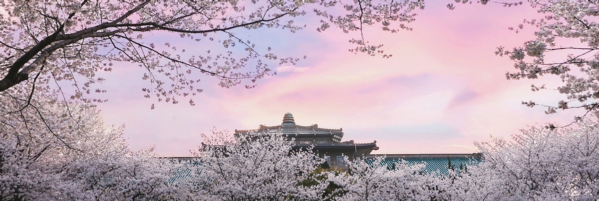 武汉市的大学（湖北）