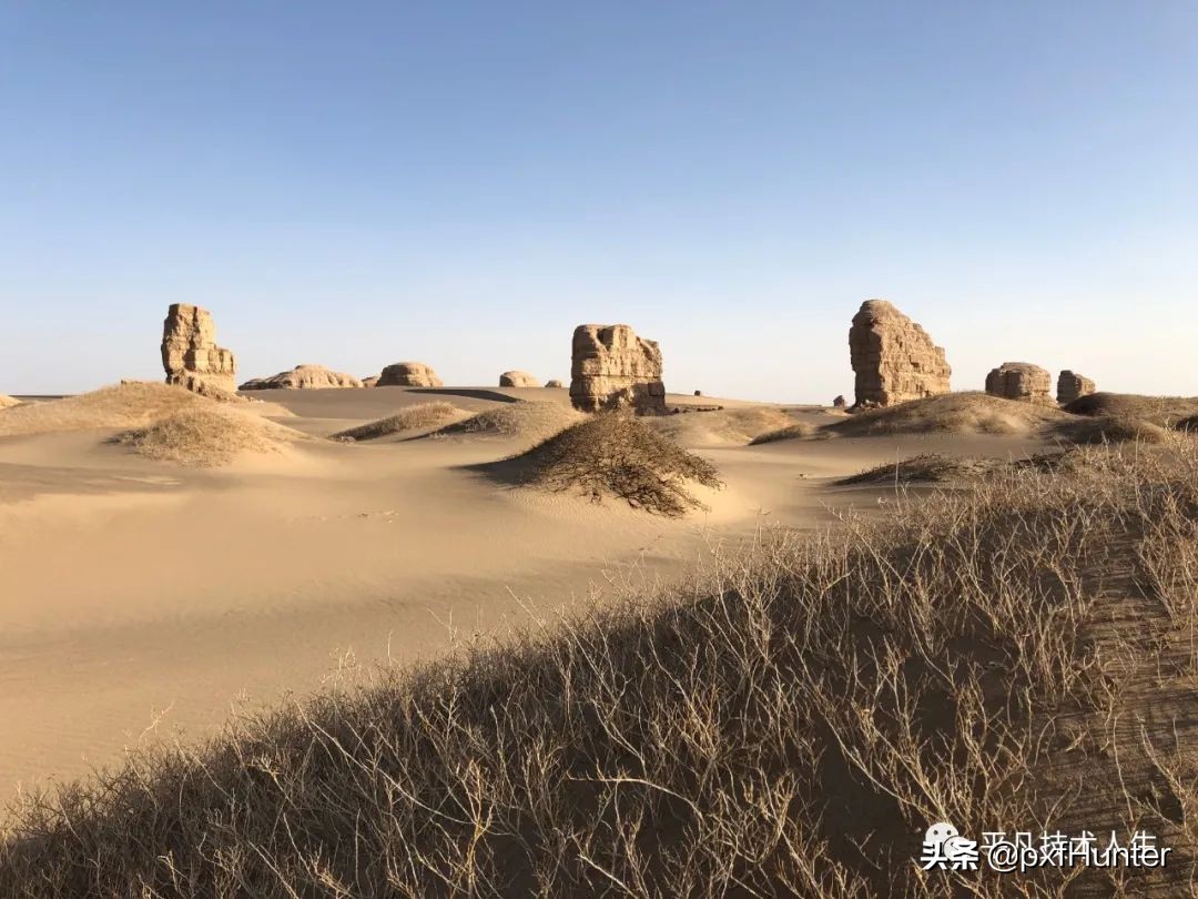 这是去哪里旅游了(我们去哪里旅游？)