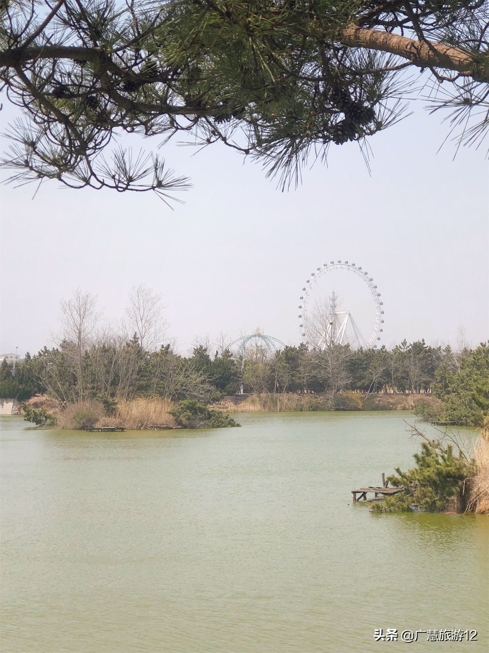 日照海边哪里免费(日照超好玩的旅游景点，日照几个很棒免费的海水浴场)