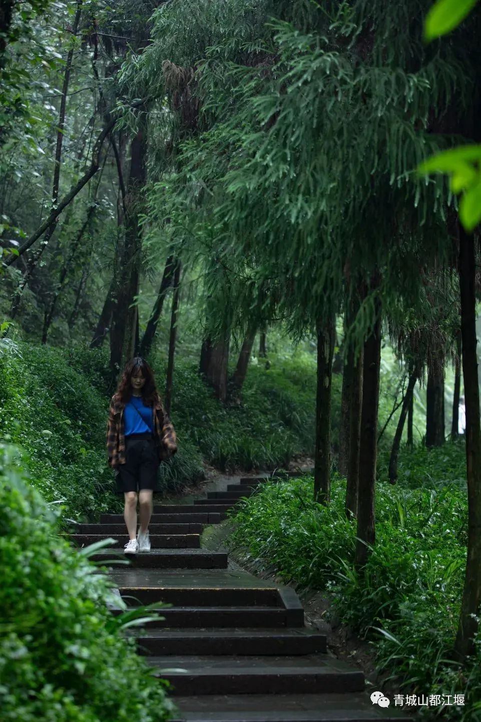 都江堰的六月！烟雨入古堰，山水云雾起......成都出发1h抵达的23℃避暑胜地！这个夏天一定要这样玩～