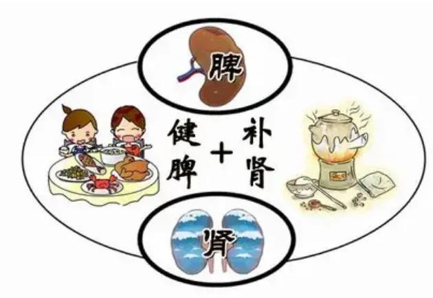 一张方补肾旺脾胃