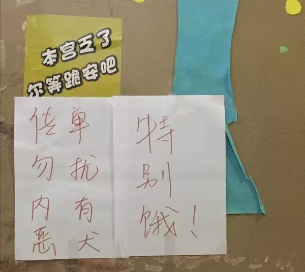 为防止外来骚扰，大学生们发明了“勿扰标语”，辅导员查寝笑出声