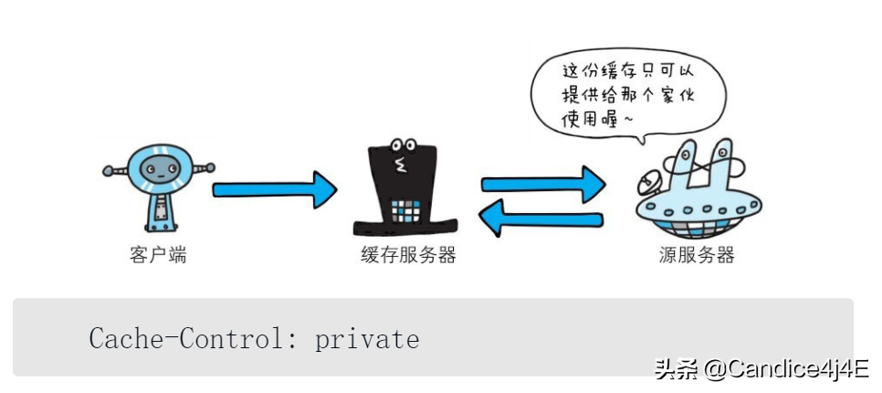 你必须知道的常用的报文首部字段