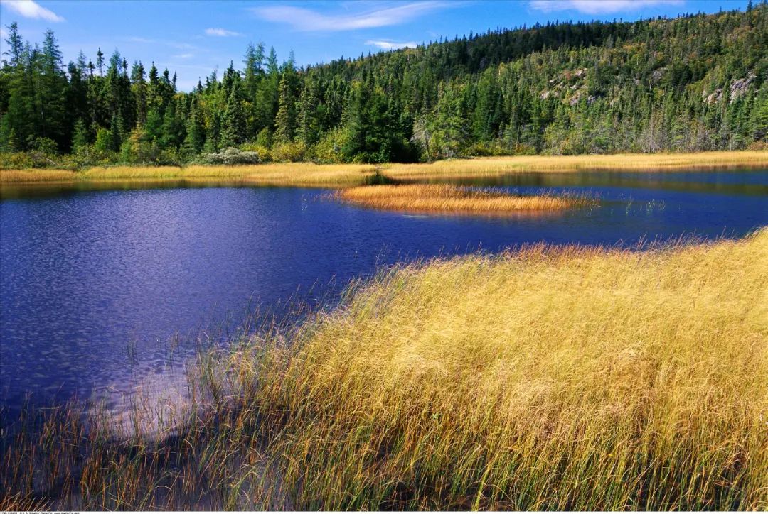 胡杏儿、张歆艺唱哭全场：好好跟过去道别，才有力量奔赴未来