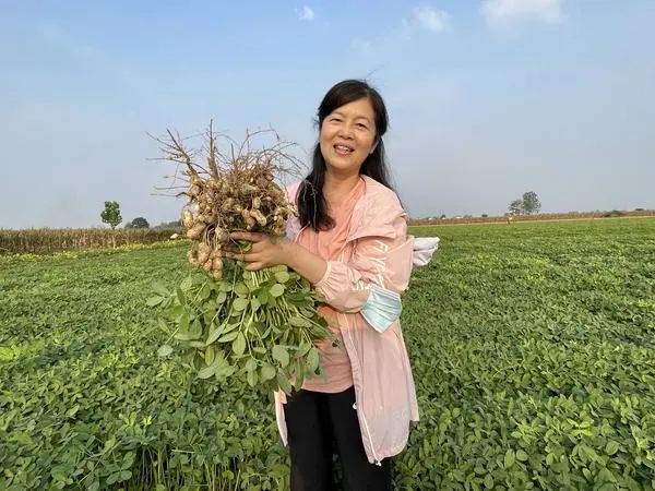 建设“中原农谷”，让中国饭碗装更多河南粮