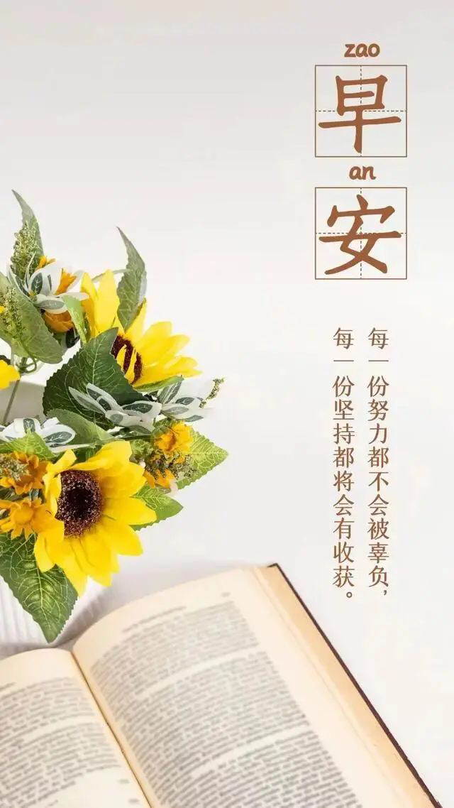 形容鲜花带来美好心情的句子,形容美好的句子简短