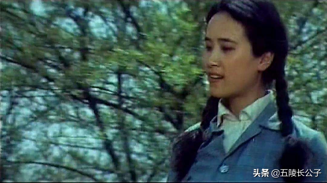 重温经典，上个世纪八十年代十部农村题材的经典影片