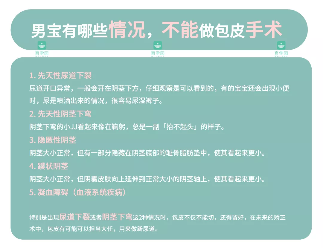 男宝玩JJ=性早熟？记住4招正确引导，亲测有效