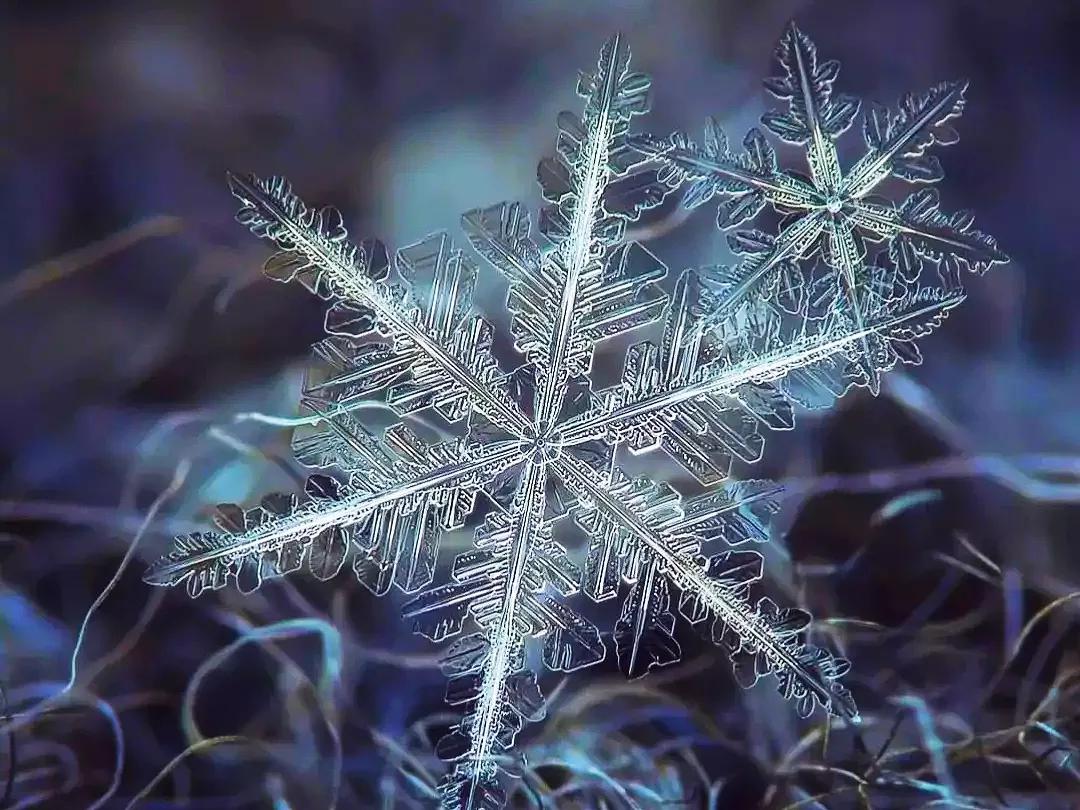 朋友圈背景图雪花不贵图片