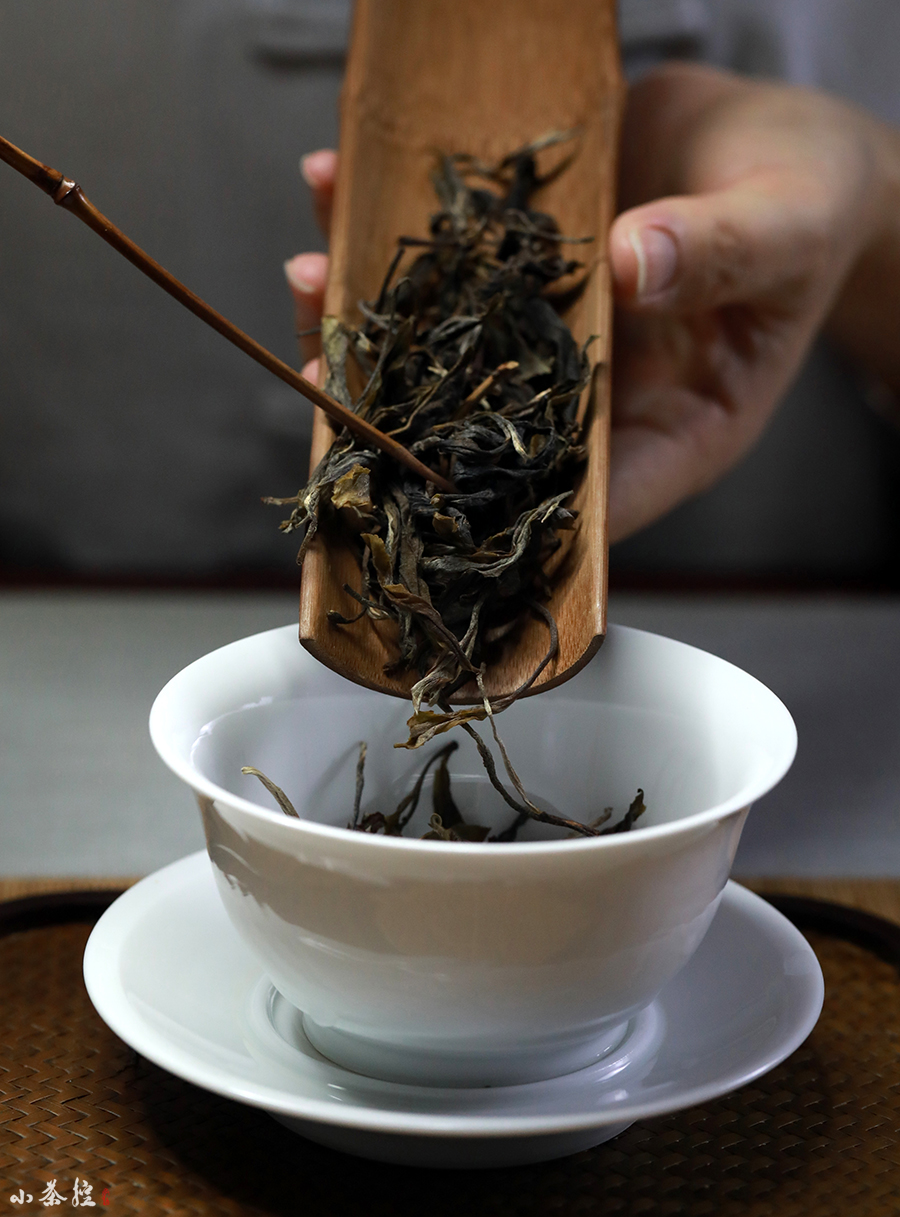 隱秘的美好茶滋味，就藏在無人過問的荒山里