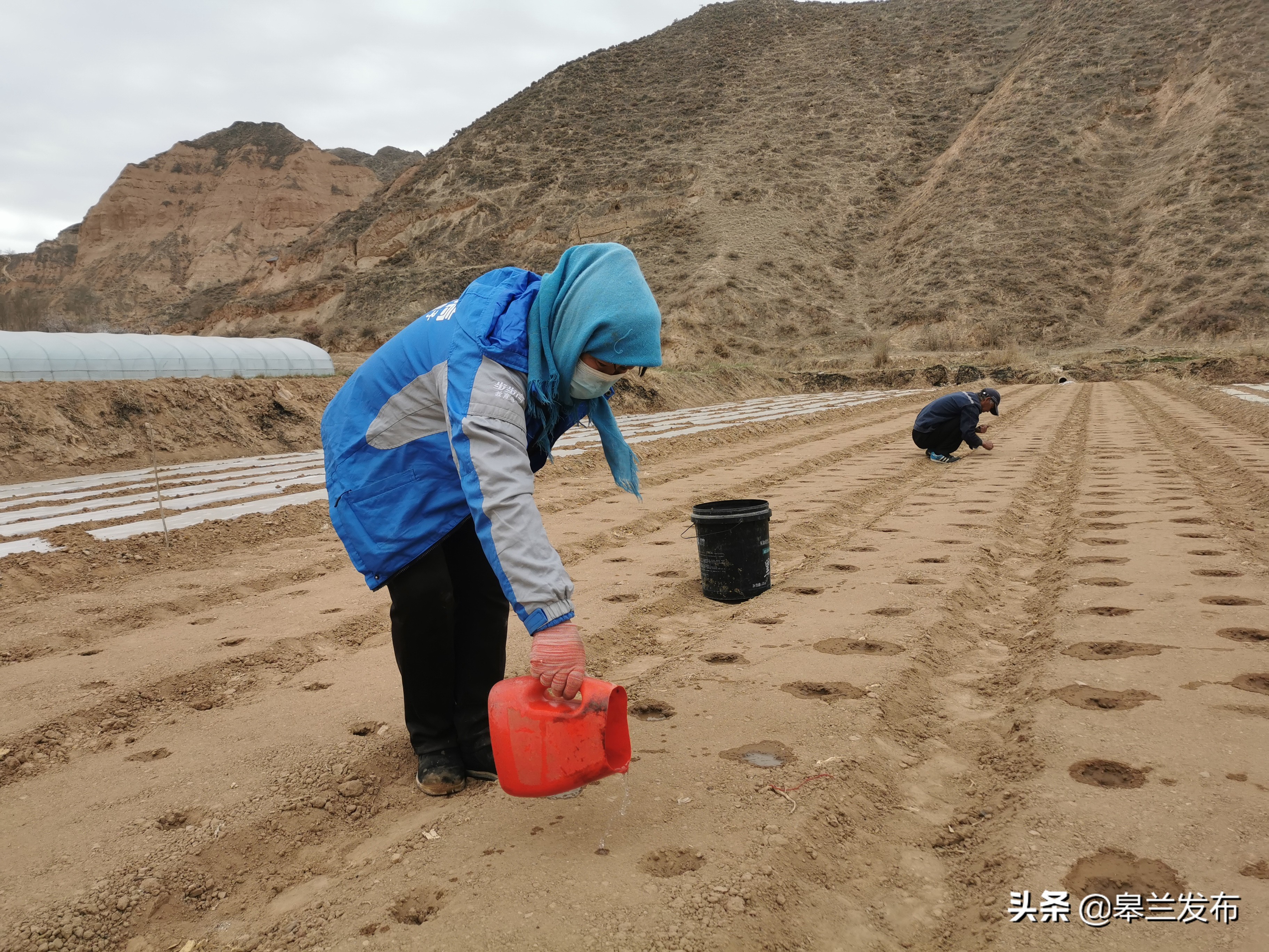 �����ؾź����ٴ�ץ�ô������� ��ʵ�ƽ�ũҵ����