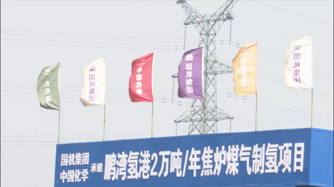 绿色鹏飞 引领未来——2021 成就令人振奋，2022 目标催人奋进