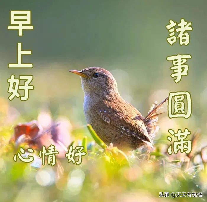 最美早安问候祝福语图片带字温馨 朋友圈暖人心的早安问候祝福文字