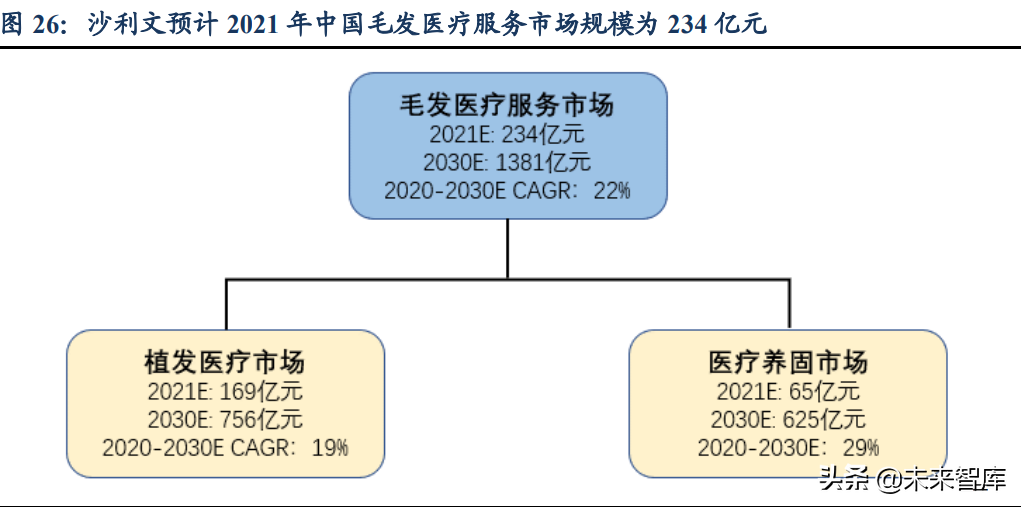 植发医疗行业深度研究：心系万千青丝，植发经济方兴未艾