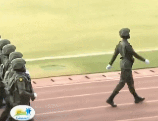 ¬�����ʦ�ˣ�������ѵ��������ʶ������ǹ������������ѧ����