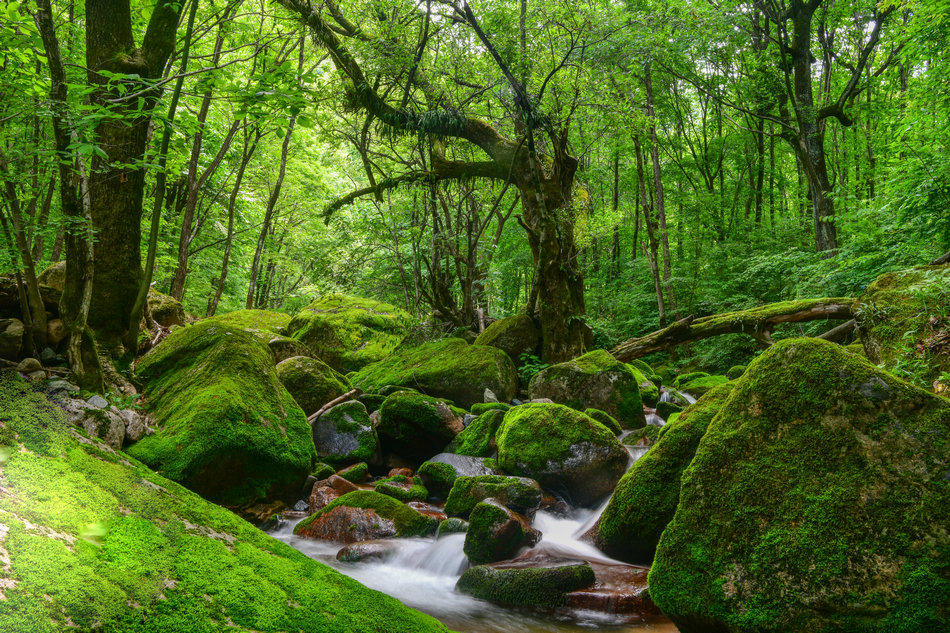 天水桃花沟里水潺潺