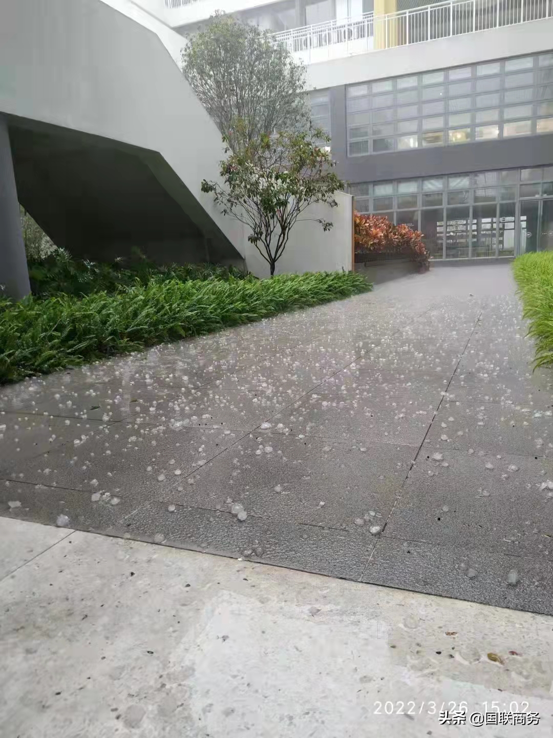 骤降10℃全能型冷空气今夜抵粤雷电大雨大风模式将开启至清明假期