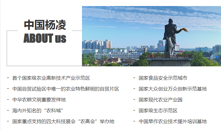 西北农林科技大学：“985”就是“985”，不管学啥都会有人叫好