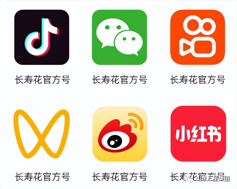 长寿花食品：打造线上矩阵 激发强劲势能