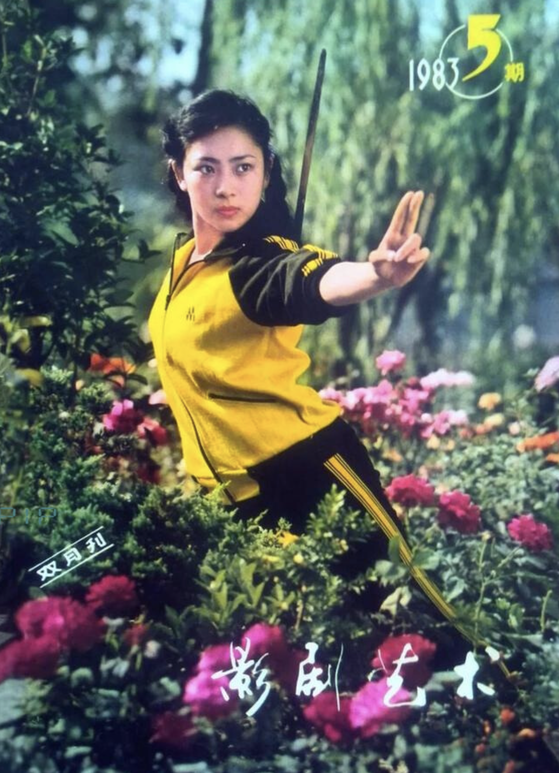 李连杰现状李连杰与前妻黄秋燕在北京重逢