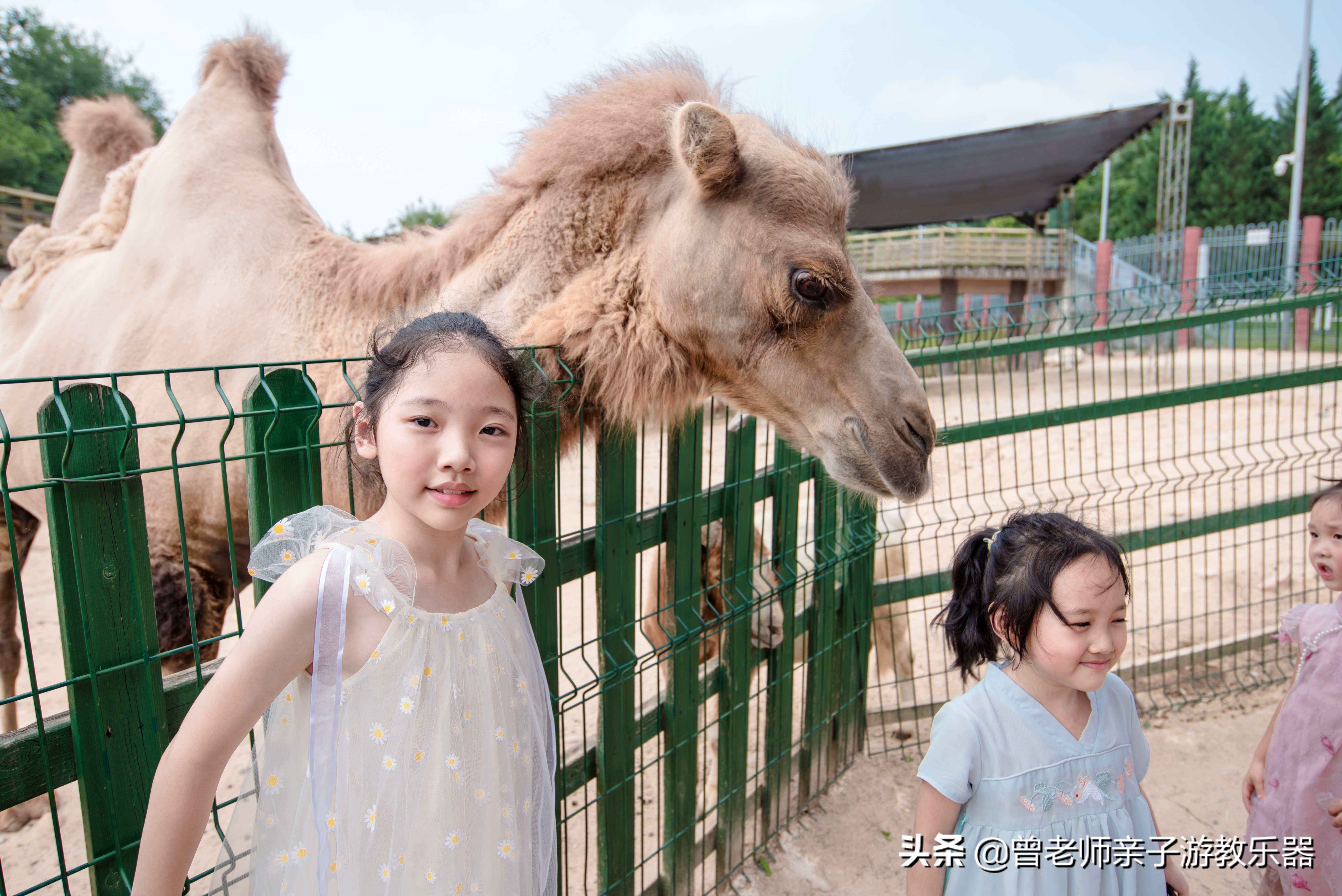 幼儿足球在哪能看(最全，2022西安室外免费儿童乐园汇总，这40个溜娃乐园你去过几个)