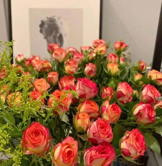 关于春分的朋友圈 / 说说文案