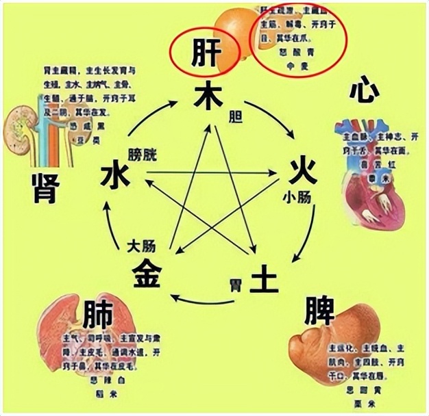 天气多变，血压难控？六招助您有效稳压