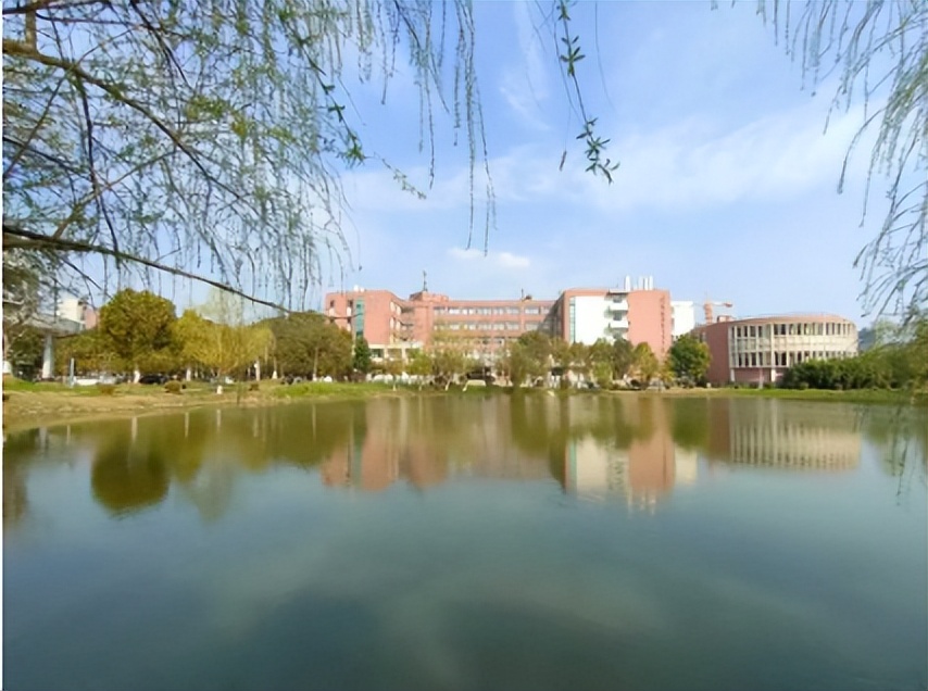 湖北超强学霸团：9人考上研究生，多人入职名企，年薪达20万