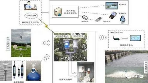 水产养殖尾水处理——多级人工湿地净水技术