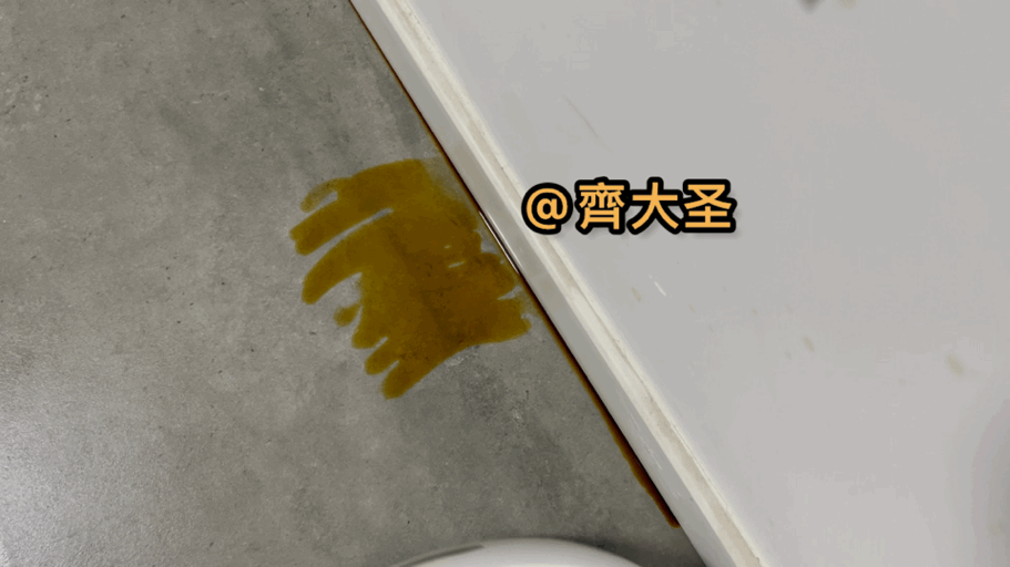 拖地哪家强？四款热销扫拖机器人实测（石头/云鲸/360/科沃斯）