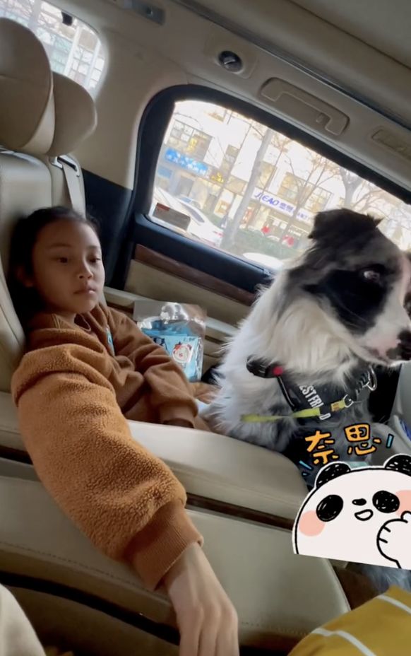 甜馨学滑板从白天到黑夜很刻苦，李小璐跟随在侧保护女儿关爱有加