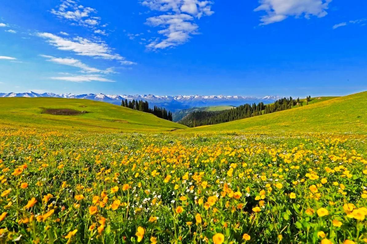 平静的图片 心情(静心和心静才是人生最美好的境界)