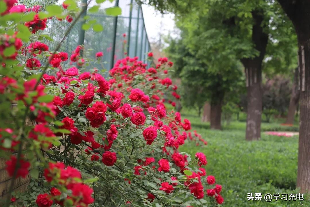 山东现代学院，是一座怎样的学校？