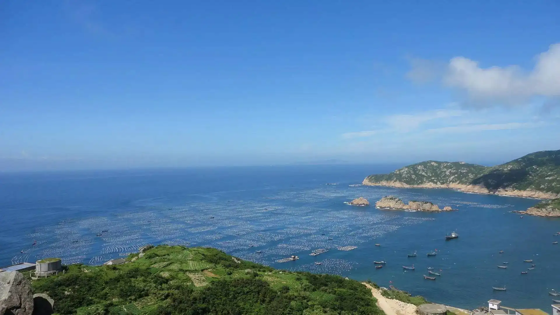 我国最大的海是哪个(从巅峰到没落，中国最大的渔场舟山渔场，为何会“富极而衰”？)