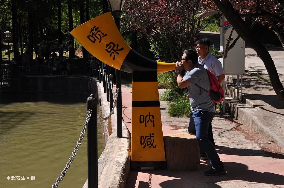 因麥積山而來 留植物園忘返！麥積山植物園帶你體驗叢林探險的樂趣