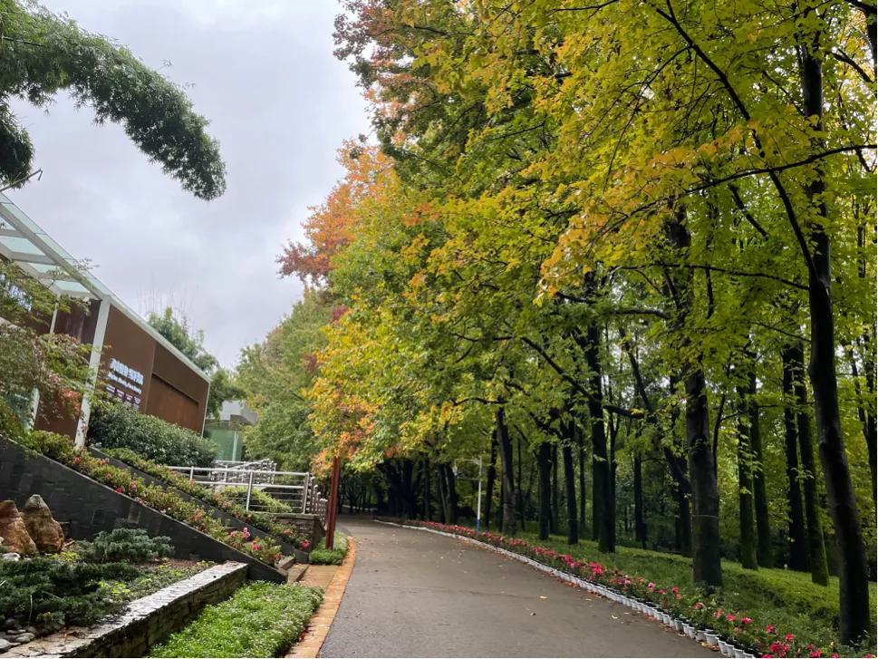 昆明三公园C位出道：一个野性十足，一个文化厚重，一个拼多样性