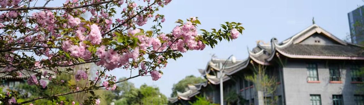 本硕博连读，一作发表7篇SCI！这位“高能”学霸，来自四川大学！