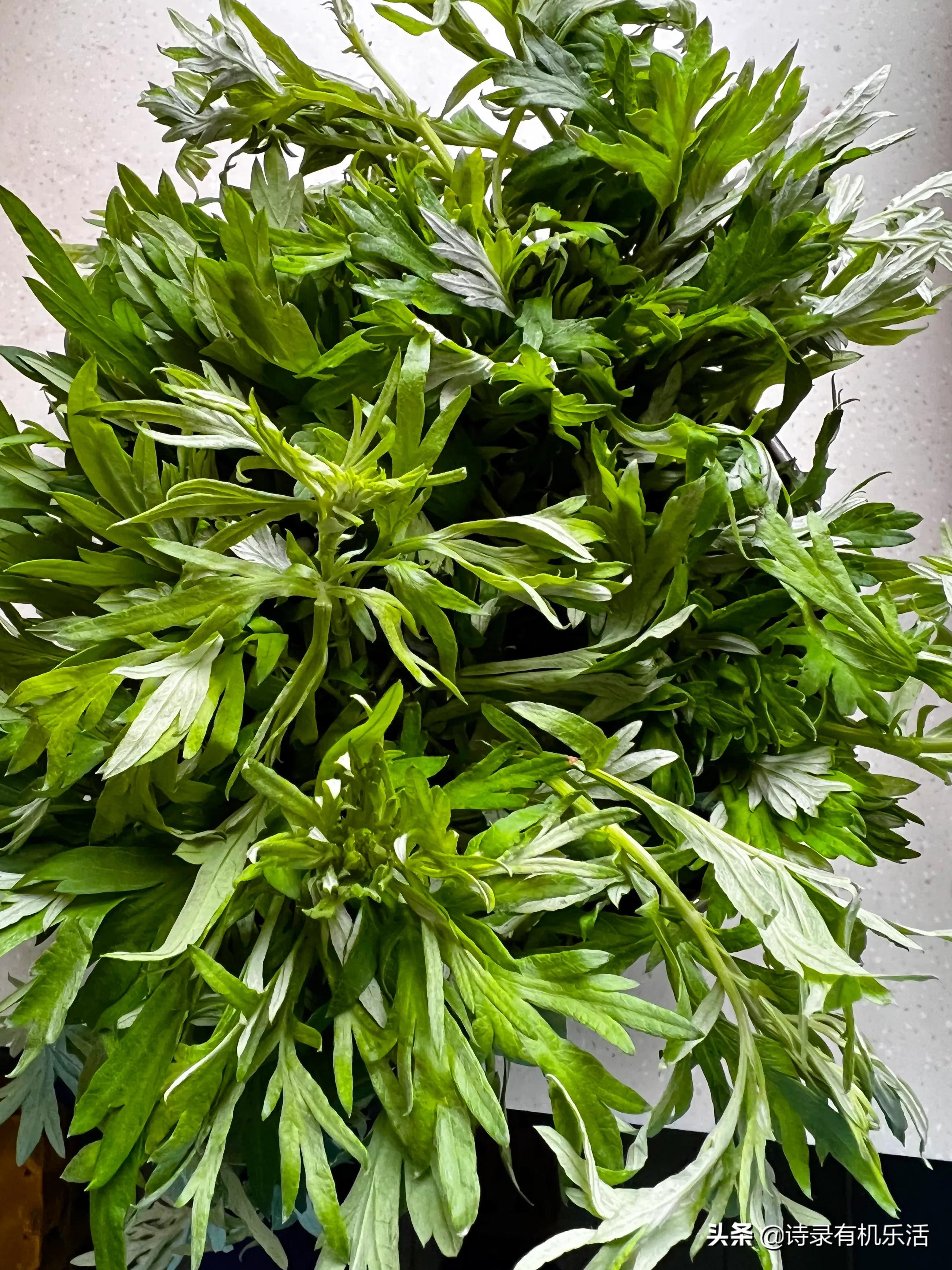 "为了这点醋,我包了顿饺子",为了这几根艾草,我