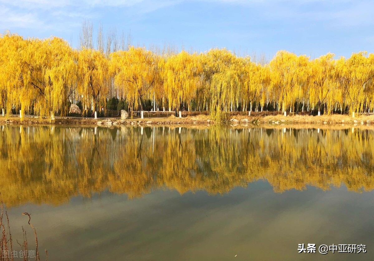 北方民族大学2022年硕士研究生调剂公告（二）