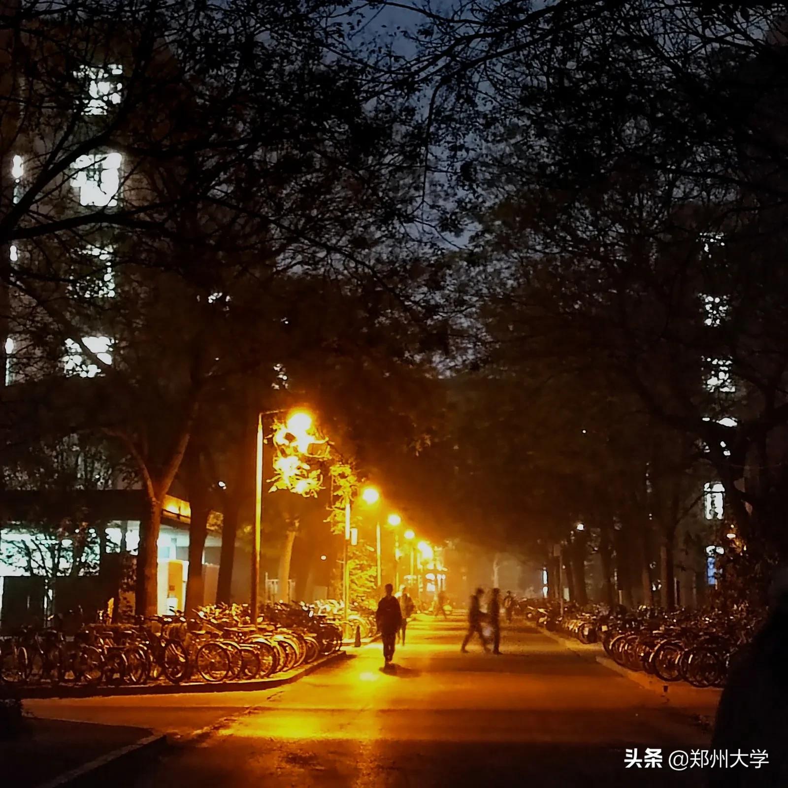 zzu的“校园十佳”