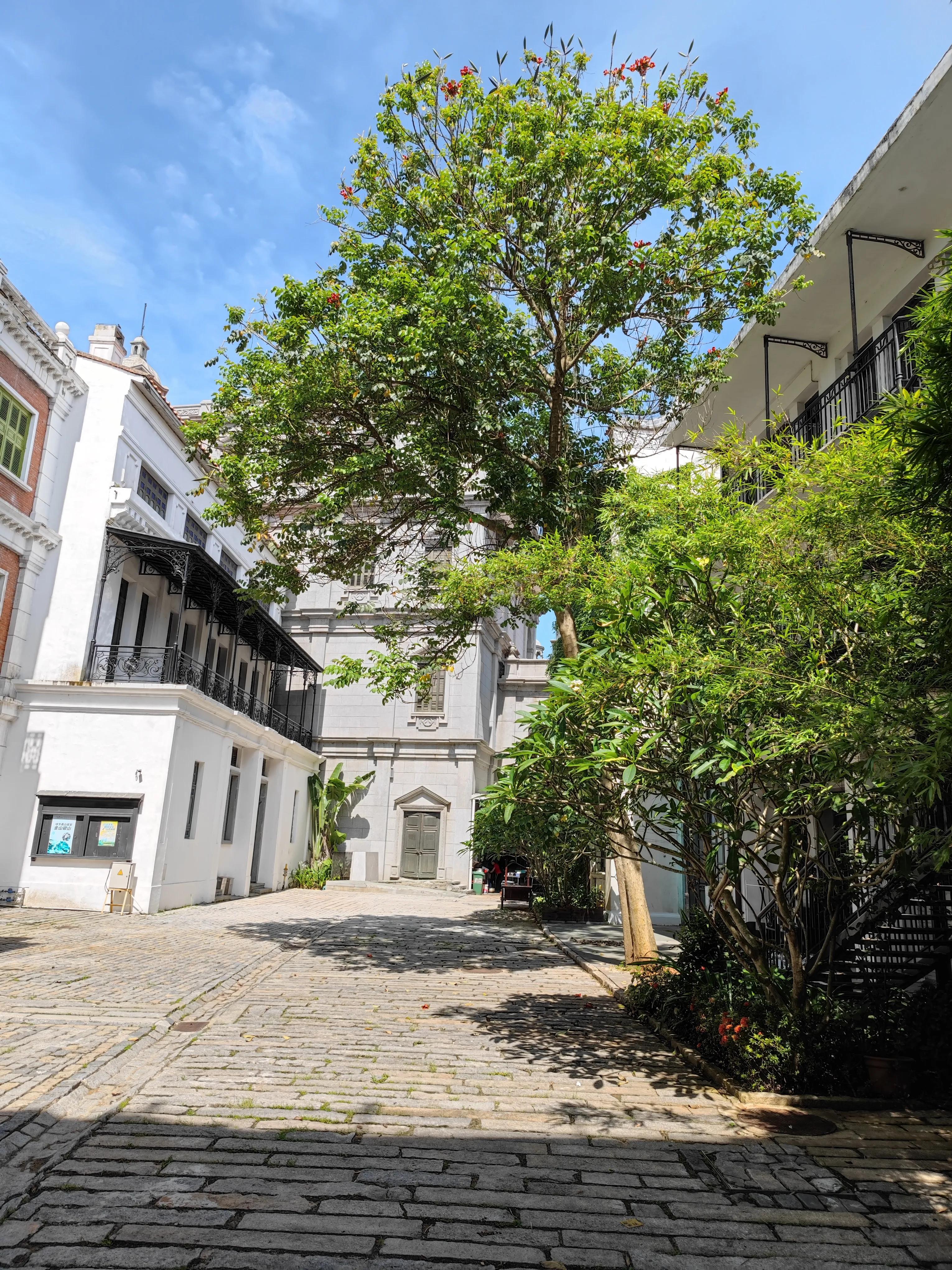 小米11 ultra，降级的拍照体验，喜欢拍照还是很值得拥有的